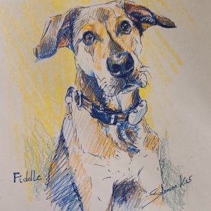 Mini Paw-traits (Drawing Only)